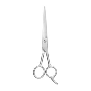 Stainless 6-1/2" Hair Shear Cutting Scissors