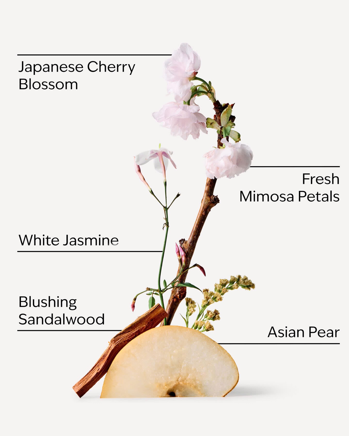 Bath & Body works Japanese Cherry Blossom Fine Fragrance Mist