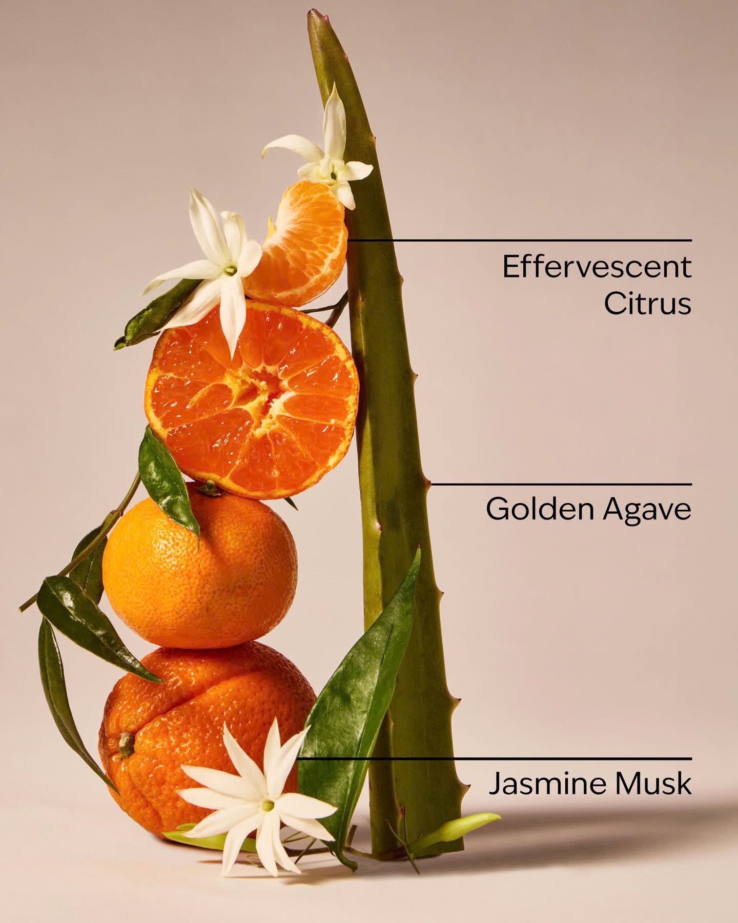 White Barn Sweet Orange & Agave
Concentrated Room Spray- 1.5oz
